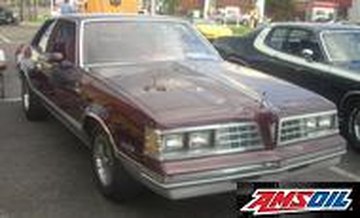 Motor oil designed for your 1981 Pontiac GRAND LEMANS